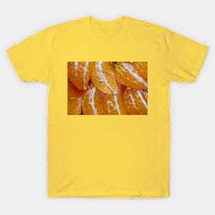 Gloss Slices of Mandarin T-Shirt